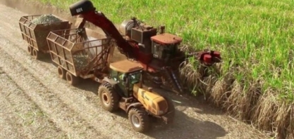 Conab vê recorde na produção e exportação de açúcar do brasil em 2020/21