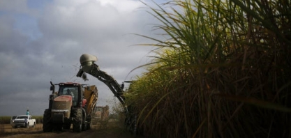 Usinas do Paraná estão quase fazendo açúcar só para atender as fixações externas já acertadas
