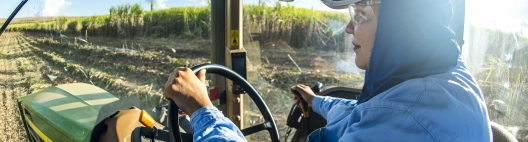 15% do quadro de funcionários da Atvos é composto por mulheres e 7% estão em cargos de liderança. A empresa quer mais mulheres