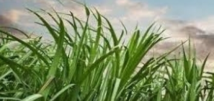 Asplana: confira os valores do ATR do último mês