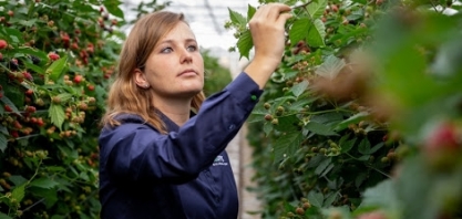 Koppert patrocina evento Cana Substantivo Feminino