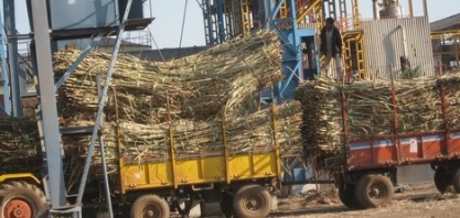 Exportações de açúcar da Índia podem ficar abaixo da meta