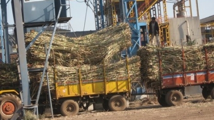 Exportações de açúcar da Índia podem ficar abaixo da meta