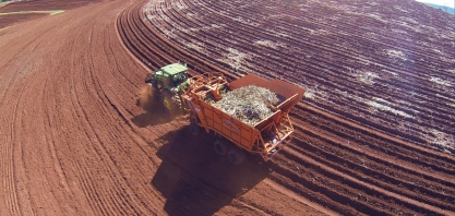 Eliminações de torrões nas áreas de plantio de cana é essencial para o bom enraizamento da planta