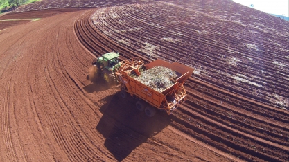 Eliminações de torrões nas áreas de plantio de cana é essencial para o bom enraizamento da planta