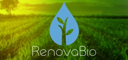 RenovaBio: webinar apresenta resultados de projeto para melhorar desempenho de biomassas de grãos