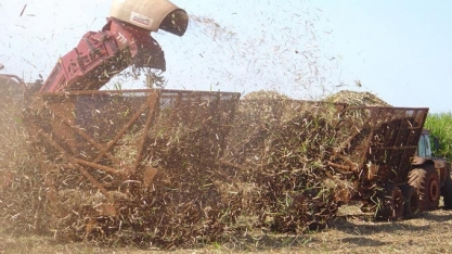 Da atividade agrícola e pecuária ao fortalecimento da indústria, empresas goianas abrem capital na Bolsa de Valores