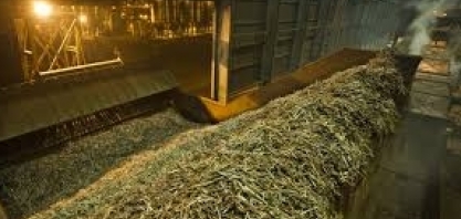 Safra canavieira 2020/21 se aproxima do fim