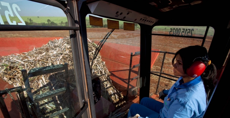 As mulheres por todos os cantos do setor será a quinta live do Cana Substantivo Feminino
