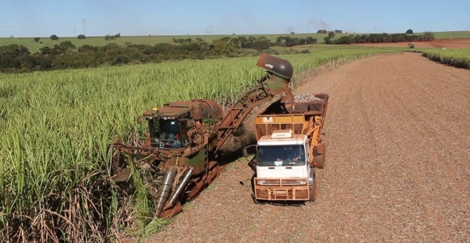 Colheita de cana-de-açúcar na região de Ribeirão Preto — Foto: EPTV/Reprodução