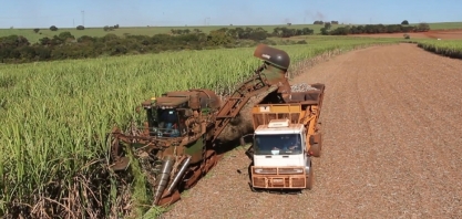Especialistas projetam recuo de 3,5% na safra 2021/2022 da cana e queda em produção de açúcar e etanol