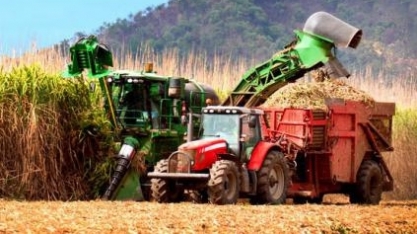 Alagoas é o estado nordestino com maior número de colhedoras