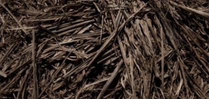 Uso de resíduos para geração de bioenergia pode neutralizar as emissões de gases-estufa de São Paulo