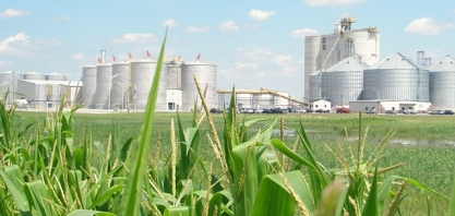 Agricultores dos EUA devem plantar grande área com milho, apesar de rali da soja