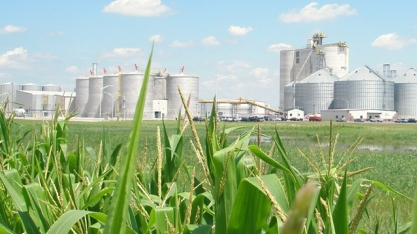 Agricultores dos EUA devem plantar grande área com milho, apesar de rali da soja