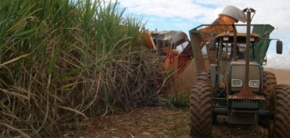 Usinas usarão toda sua flexibilidade na safra 21/22 para superar os impactos do clima e da covid-19