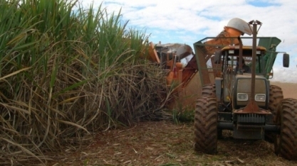 Usinas usarão toda sua flexibilidade na safra 21/22 para superar os impactos do clima e da covid-19