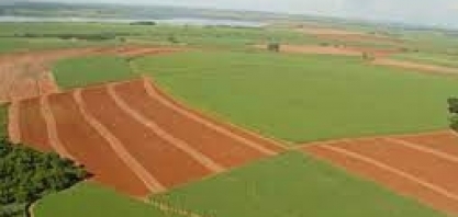 PIB AGRO SP/CEPEA: Agronegócio paulista cresce 8,3% em 2020 e representa 14% do PIB do estado