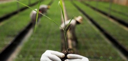 CTC, de bioenergia, suspende planos de IPO por piora do mercado