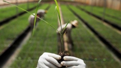 CTC, de bioenergia, suspende planos de IPO por piora do mercado