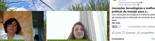 Matriz do terceiro eixo, amplo uso de biológicos e modernização do plantel varietal contribuem para elevação da produtividade da Cofco