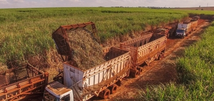 Safra de Cana 2020/21 é encerrada em Alagoas