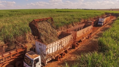 Safra de Cana 2020/21 é encerrada em Alagoas