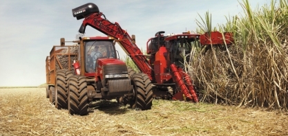 Incerteza da safra de cana no Brasil pode elevar o preço do açúcar, avalia a S&P Global Platts