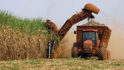 Produção de açúcar do centro-sul deve cair para 35,05 mi t em 2021/22