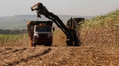 Seca faz safra de cana começar com queda na produção de açúcar e etanol