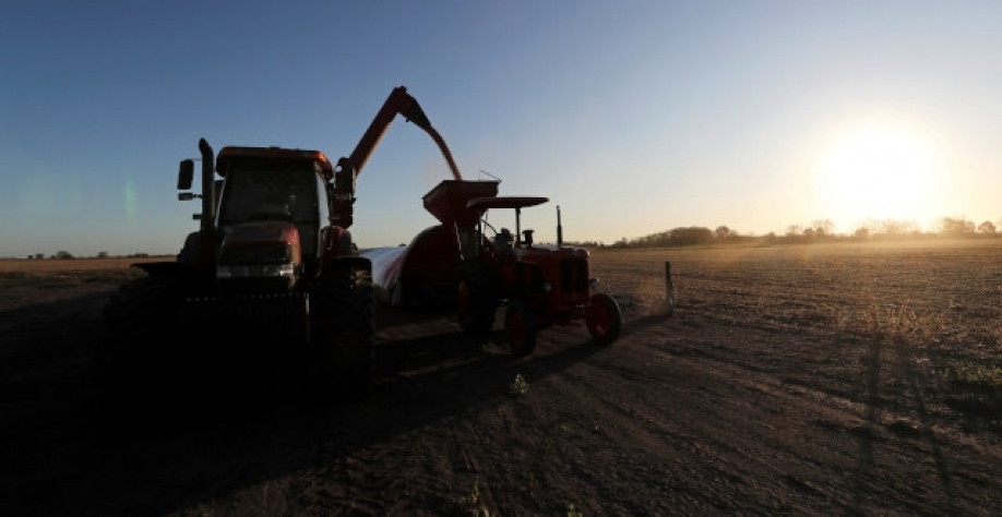 O negócio aumentaria de oito para dez o número de unidades de processamento de oleaginosas da Bunge no Brasil, que é o maior produtor e exportador de soja do mundo (Imagem: REUTERS/Agustin Marcarian)