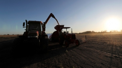 Acordo da Bunge para comprar processadoras de soja no PR é desfeito em meio a disputas judiciais