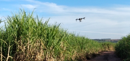 Grupo Fitotécnico aborda em reunião científica do IAC tecnologias para a produtividade e qualidade da matéria-prima