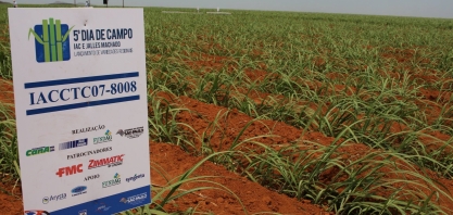 As variedades de cana do IAC e os ambientes de produção
