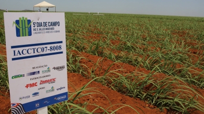 As variedades de cana do IAC e os ambientes de produção