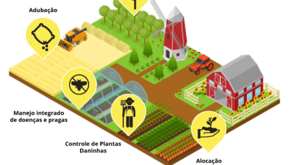 Nesta segunda-feira, 3 de maio, acontece a live “Revolução digital: muito além do big data”