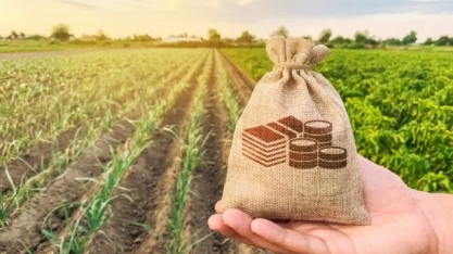 ‘Corte no Orçamento vai frear investimento e prejudicar custeio’