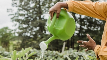 Poder feminino se faz presente na Usina Santa Terezinha