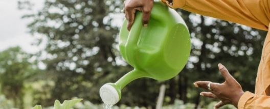 Poder feminino se faz presente na Usina Santa Terezinha