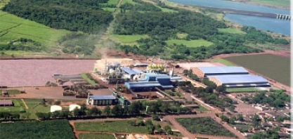 Delta acumula liderança de vendas do açúcar cristal desde 2015
