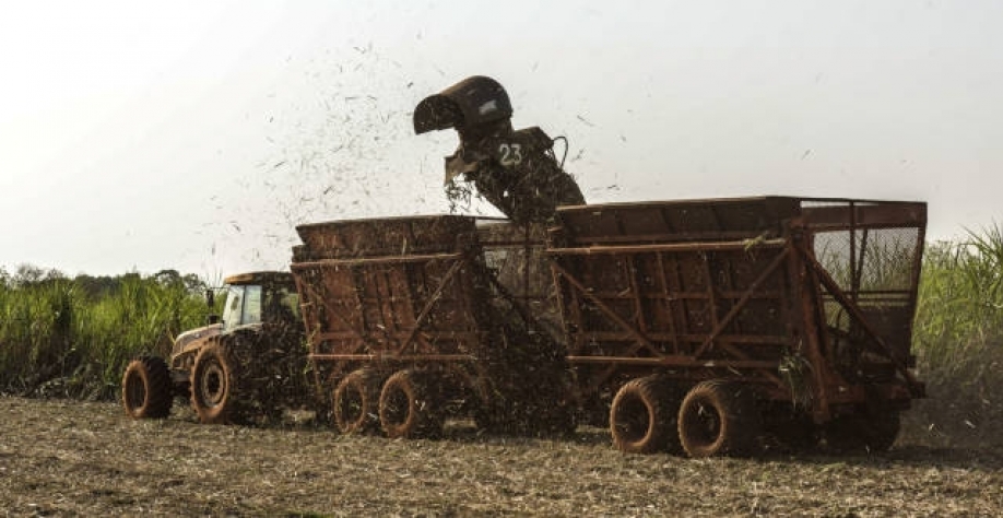 Safra de cana começou no Centro-Sul, mas a produção ainda não avança muito (Imagem: Paulo Fridman/ Bloomberg)