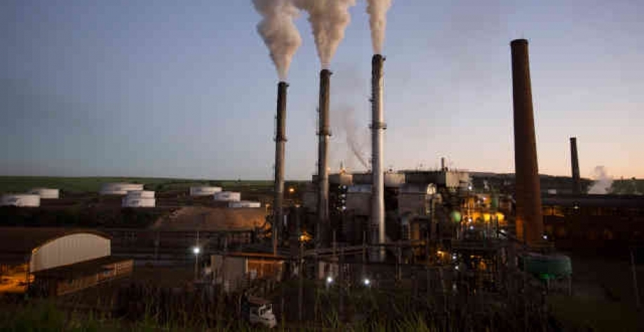 Baixo custo operacional de produção e fixações a preços vantajosos anulam potencial de pressão sobre o açúcar da São Martinho (Imagem: LinkedIn/ Divulgação/ São Martinho)
