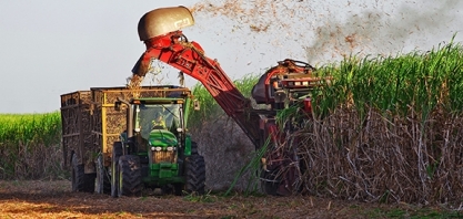 Safra 2021/2022 começa com ritmo de moagem mais lento