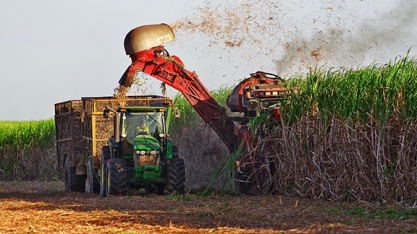 Safra 2021/2022 começa com ritmo de moagem mais lento