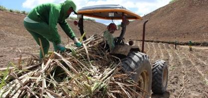 Safra 20/21: contagem regressiva para o fim da moagem