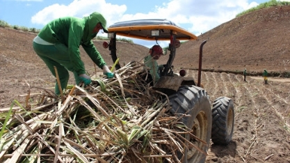 Safra 20/21: contagem regressiva para o fim da moagem