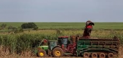 Produção de açúcar no centro-sul pode cair até 20%