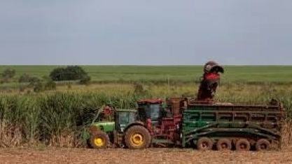 Produção de açúcar no centro-sul pode cair até 20%