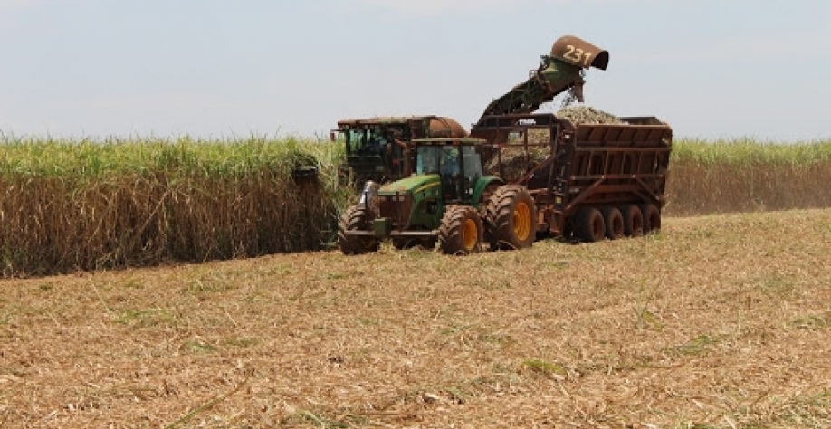 . (Imagem: divulgação/Biosul)