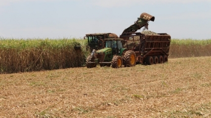 MS ratifica sua vocação 